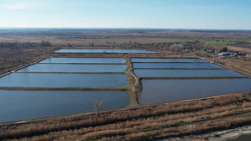 dji 0090.mp4 snapshot 00.09.242 dji 0090.mp4 snapshot 00.09.242