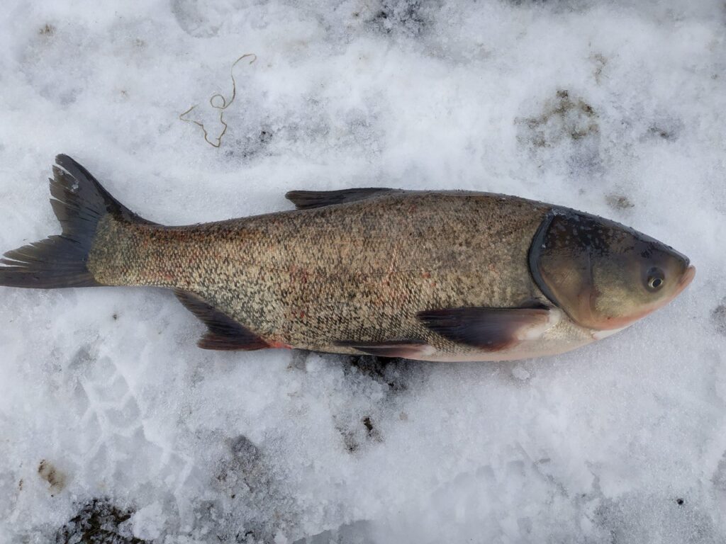 photo 2025 09 16 13 46 06