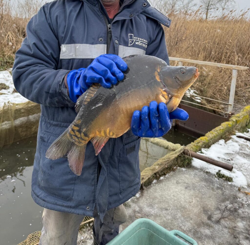 photo 2025 09 16 13 46 14